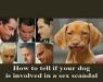 And more Weiner related observations … 2017-02-01