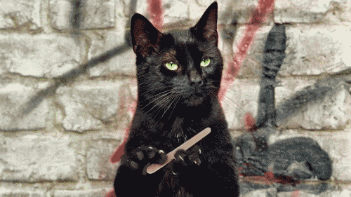 16de1b57a86641c9f0cdb18ca52199c46f39cef179f39ea5db61eb18db12f560.gif