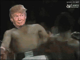 1e5fce37dd0675df7b6ad01cb4fee2a121eb0284ff544018aeff56d3487e07eb.gif