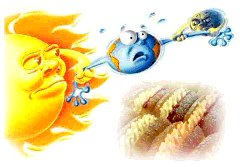 cartoon - Mr earth having it's arms yanked in opposite directions by Mr Sun and Mr Moon - creamcake like splits resulting