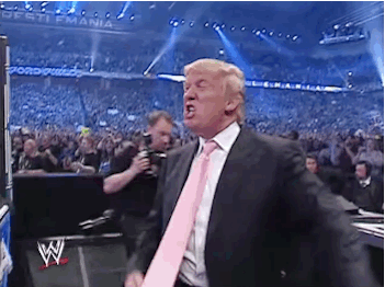 8cd6d096939da228b8ccd9099adcd3dd4ec31608315efcd4c617d396c1af4314.gif