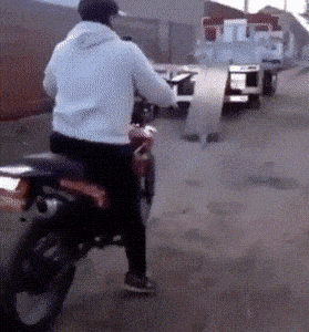 00b9f099c689cf632c6cb2a20883d21175dd9155ad42e4927a2d2815c80981a7.gif