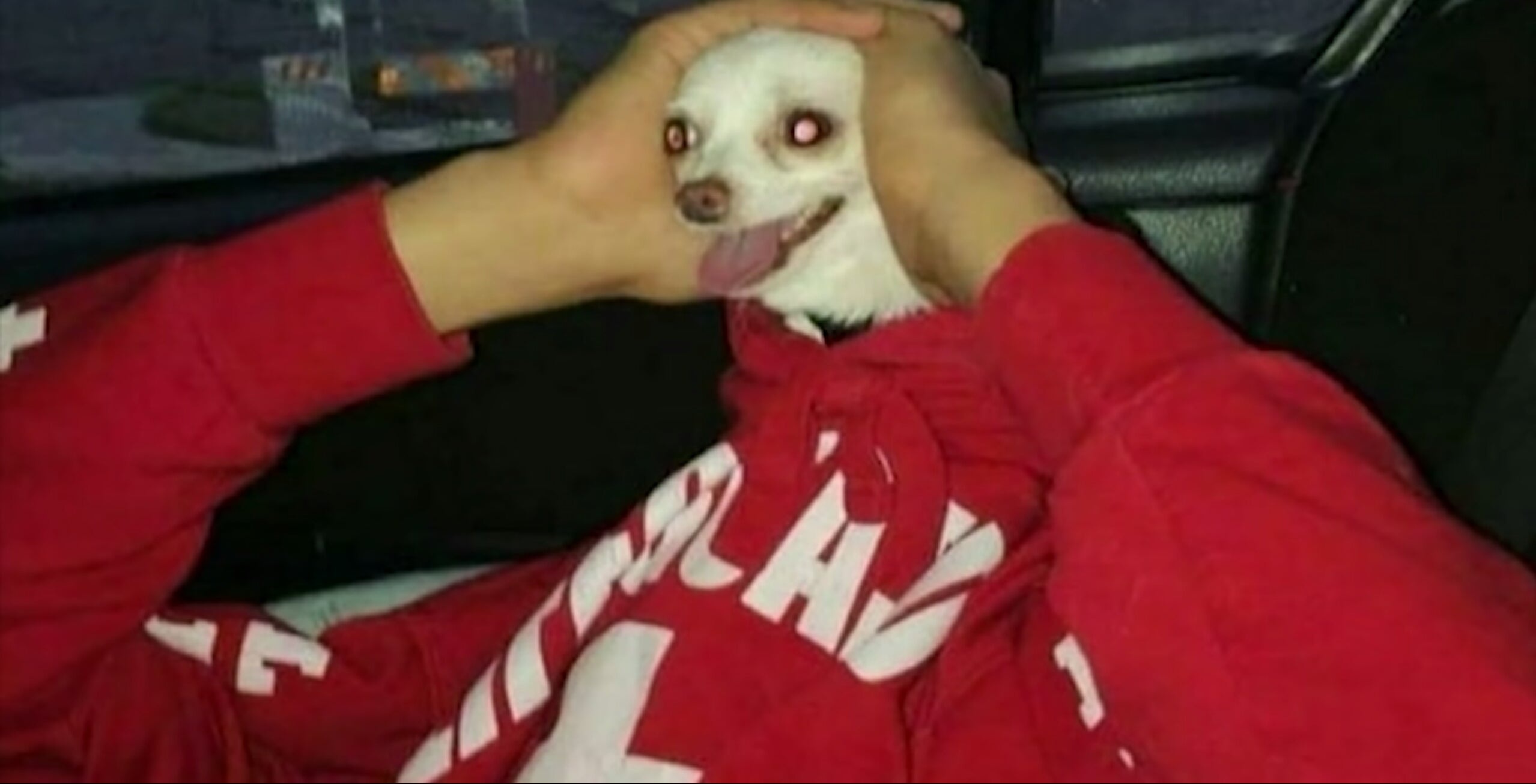 GIF