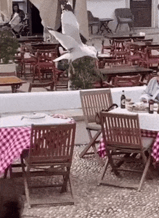 013e7406e2b646551b5b9fdd7c9536bffad1df4e72d5be0a33d04e15549138b7.gif