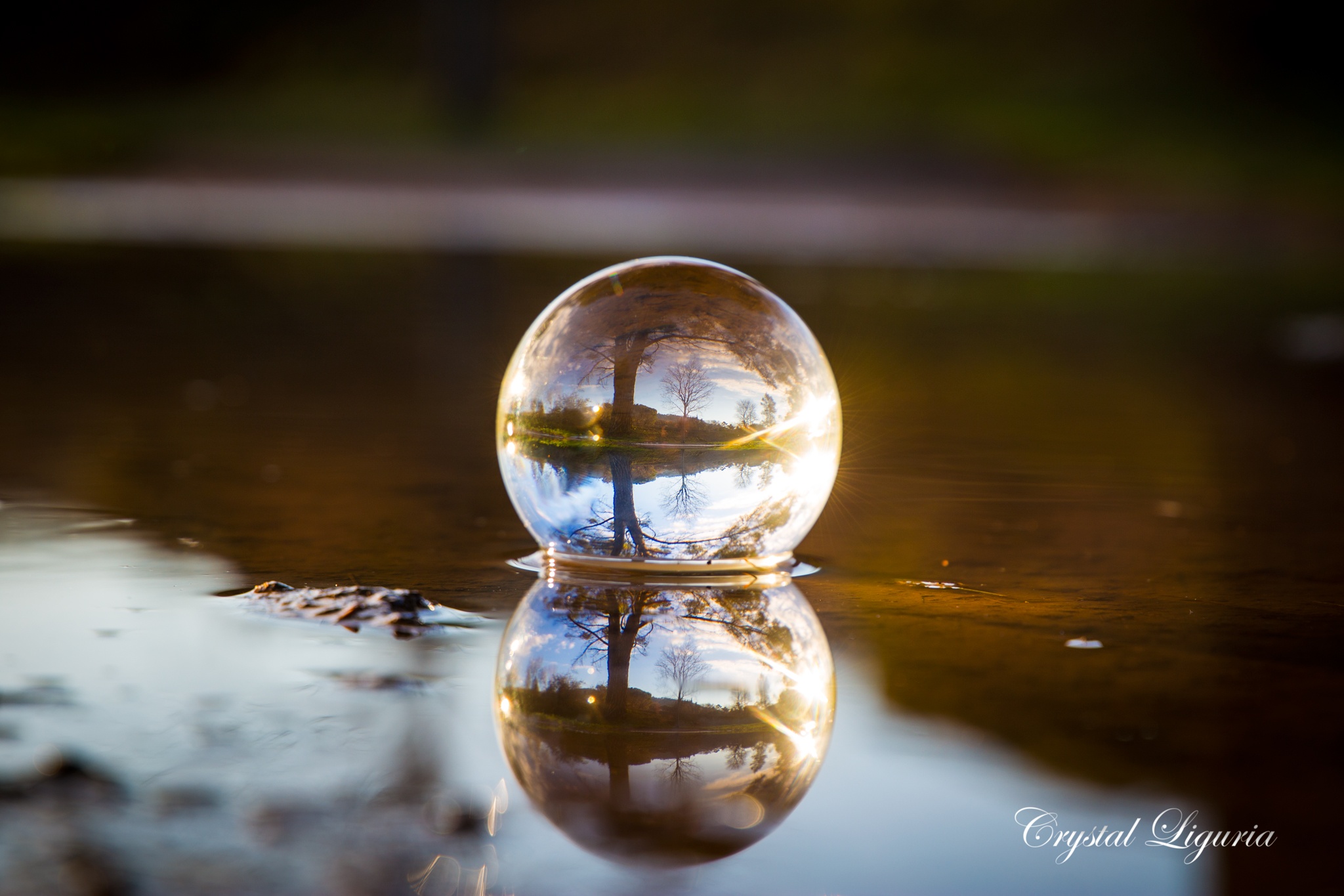 7 Tips For Doing Crystal Ball Refraction Photography 2303