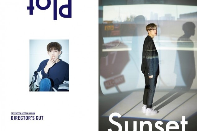 S.Coups seventeen 2018