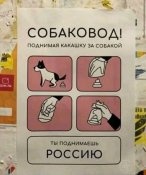 "Минский процесс" по Донбассу нужно сделать "немного более гибким", - Зеленский - Цензор.НЕТ 2741