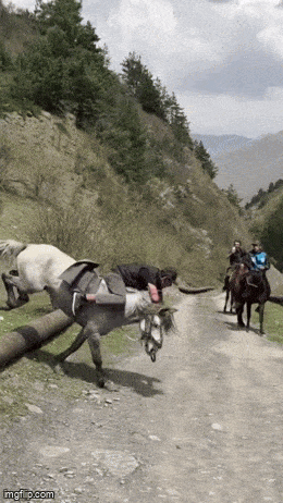 08379ef31676c65db739c4fa2fb5f2050c8184c65a4113fd6f44a2e91efc29e7.gif