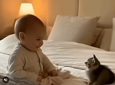09652a7a51c9465c202792306ad2fe1b469364a3338bbb22dcc5e53700cf76c8.gif