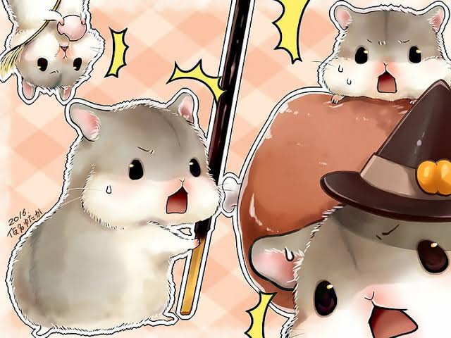GIF