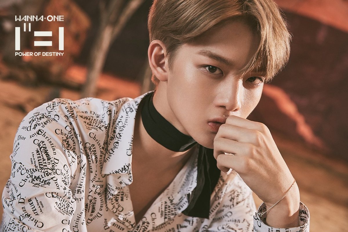 Wanna One Members Profile Updated Images, Photos, Reviews