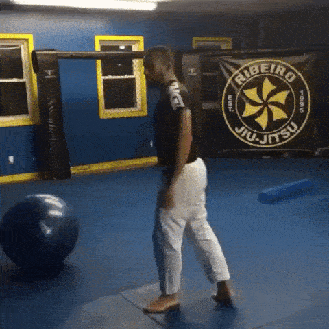 14e08bcf30bd091dcfd189ec8ec931c2490965a7b5cadb891988dbb9e6e6568d.gif