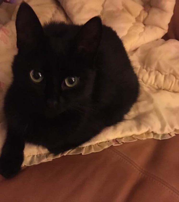 16bfd92c50314e6da89bcfcdfc52eac1d519a4cb