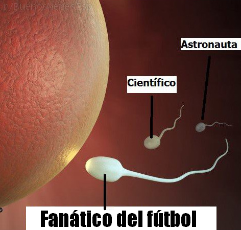 Imagen de Disqus