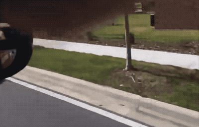 1a1abf546f907ee504409d78e28544c42080d884fad813f93475ced6630a54d6.gif