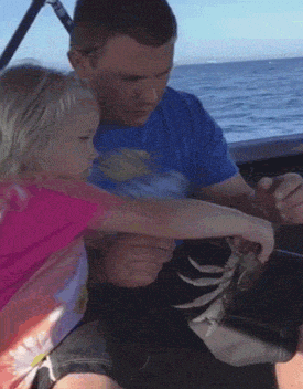 1d88b3bd1532feb75c1013ba4300c806d2278625eeb94580d453609b65145ba5.gif