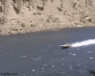 1d944b6a67662173ff1fb1f105802540238c5fa9abdd50756b1c102d2ed9489c.gif