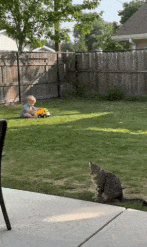 1f5957950ecaefedcd2164c9cacf422a92b30a75abe65e38f038eed3ce06f1a8.gif