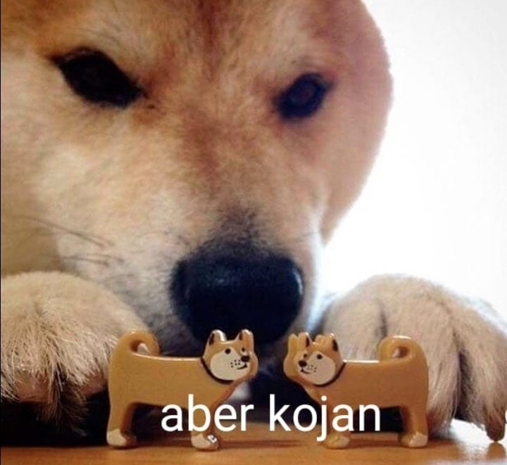 20abba618ad717bd4976bdf745a696ce57d807f7e37f9cf63e9a40b8808b171b.jpg