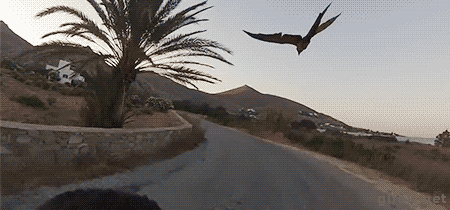 21de6deefc4eb4f443eb50dc585aa33d87b816f9b602f79bbc2b59c199e75ea3.gif