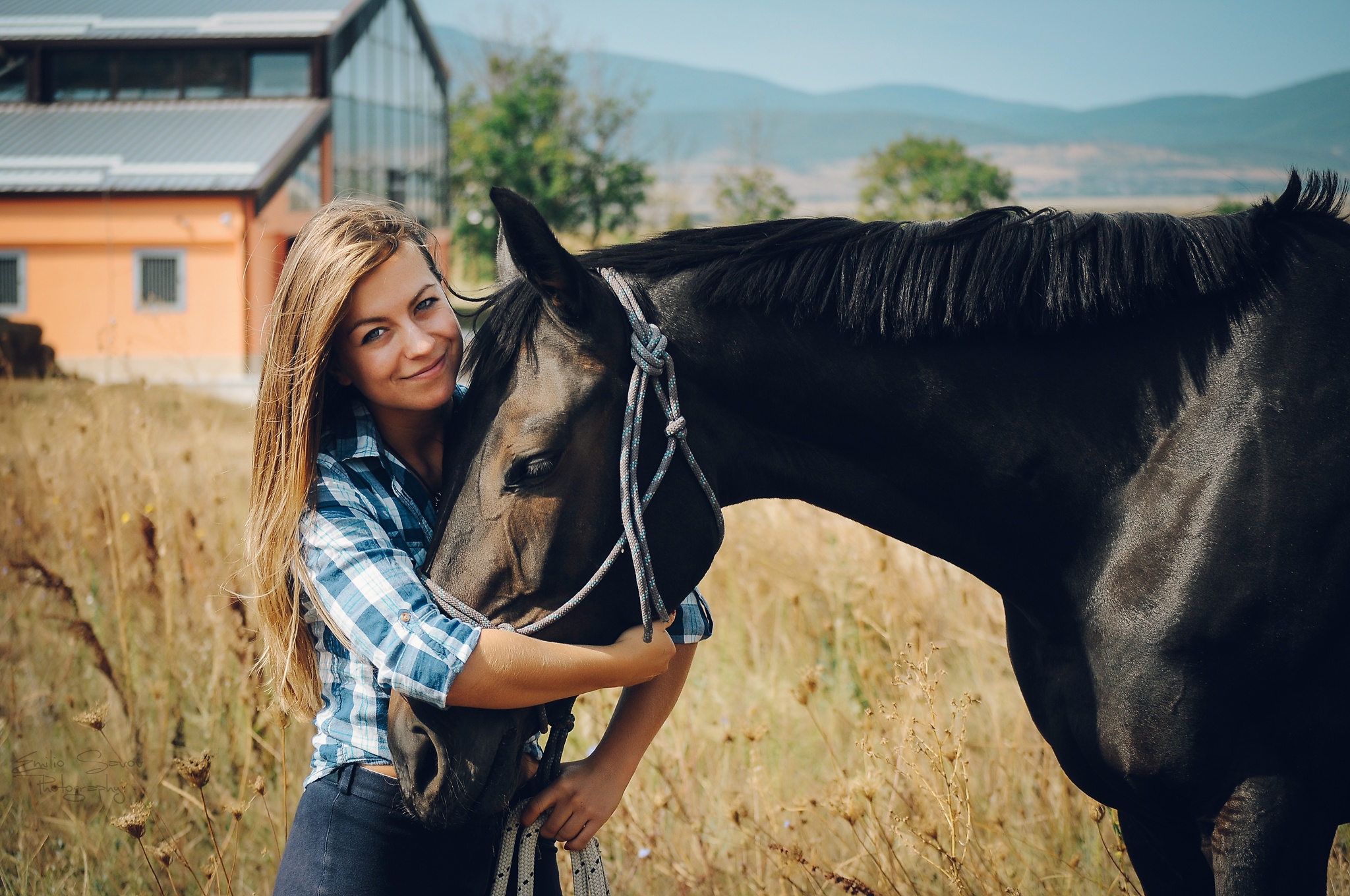 Beginners Guide to Photographing Horses