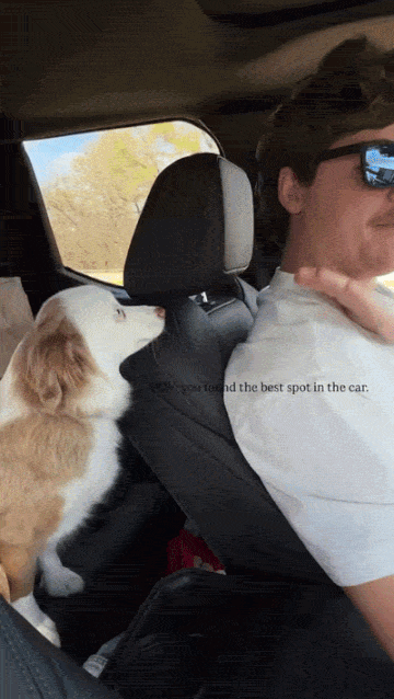242c7b212652d1e78d7df27ede3026e54459dbf9eda348bea8f5bbdaa3f11840.gif