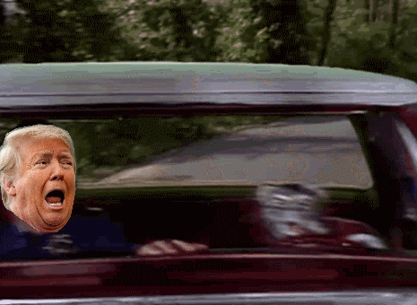 265d2cc48588c78fa5438bff75618c1dd01c91ec