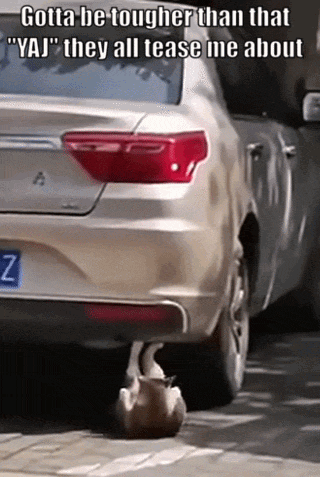 27074f41134a11fe166aafbe2db5f9e69de1aa74b587fc1c88b7cb143a736b16.gif