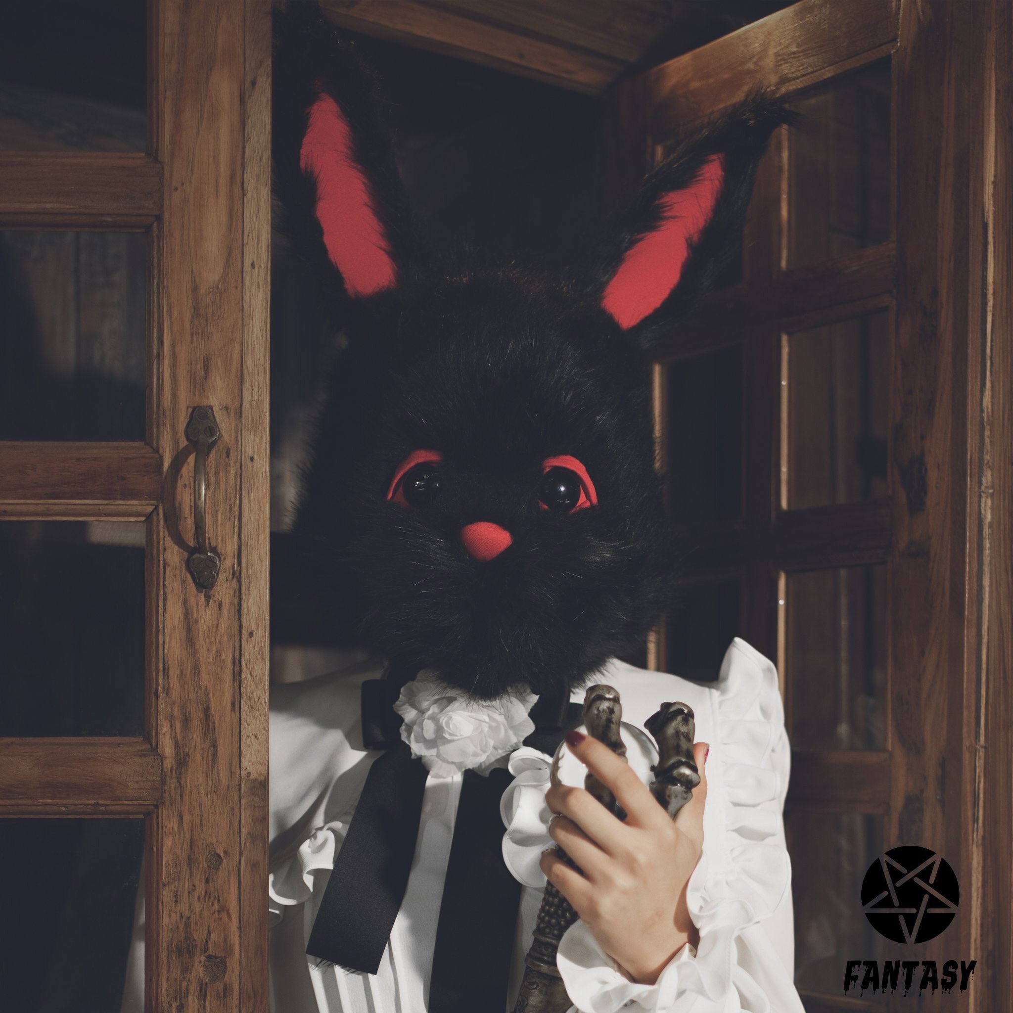 PinkFantasy Members Profile (Updated!)