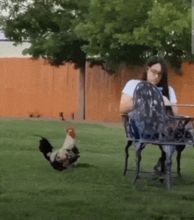 337270702b4547892750934619f06b39e1c5c7d929525c01e601e14ea15d3aed.gif