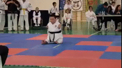 33a24dbbe6b4207409a7ab7f7e77a9e831a4f7db3e90c906edad1d37943cb1d4.gif