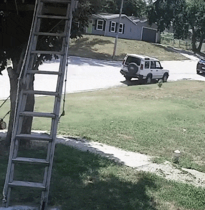 360537a3dac915461f851bd61de77bce430d5aaf322ae86290ece2254aa01bcc.gif