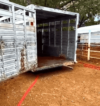 371fca2471234184e75ba88c8f9fecd23628e22d11dd372552062d4024dd6788.gif