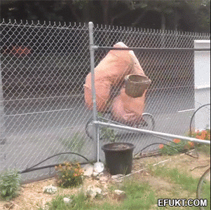 3773dc7f8036178cc383501c72f5d79fe3104990b1a6d8c3aaf56f27dedab4f6.gif