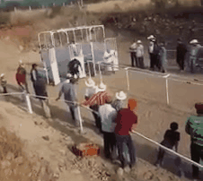 385a98561195e4fc4ef7a21fbd3a11d54a63f1c8a0c3795fa1d7f4056765f4ec.gif