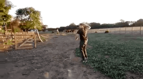 3936378556deadd9a8fe1df5b86bbcb359abb9c5ddfa27437ed2ba38e03a635b.gif