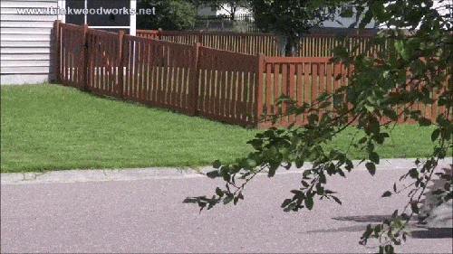 395829c54fe8b2802cfef2c366c790964d8a7ae01f85fd5a0a86017f53bc88ff.gif