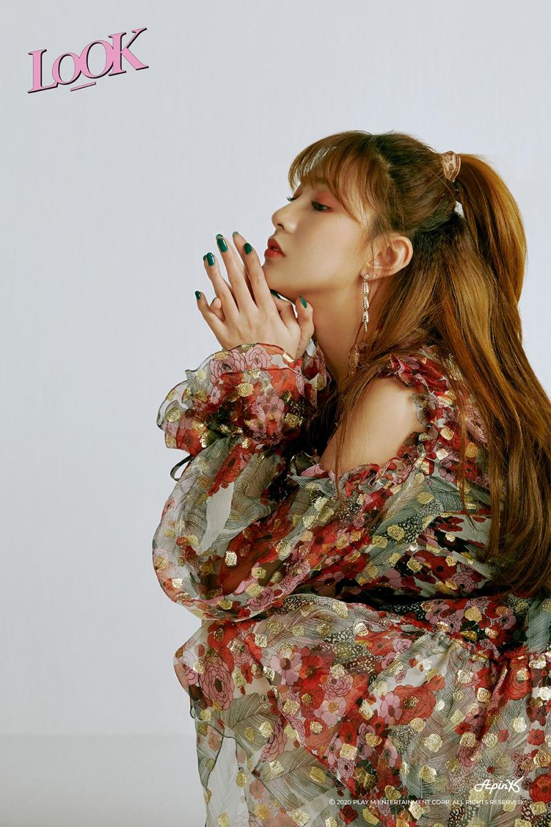 Apink Members Profile Updated