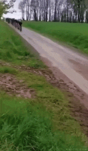 432cfc370f58a37a39dd73c8cf7648a6c41483e5d55c69f95a2e03df642439b4.gif