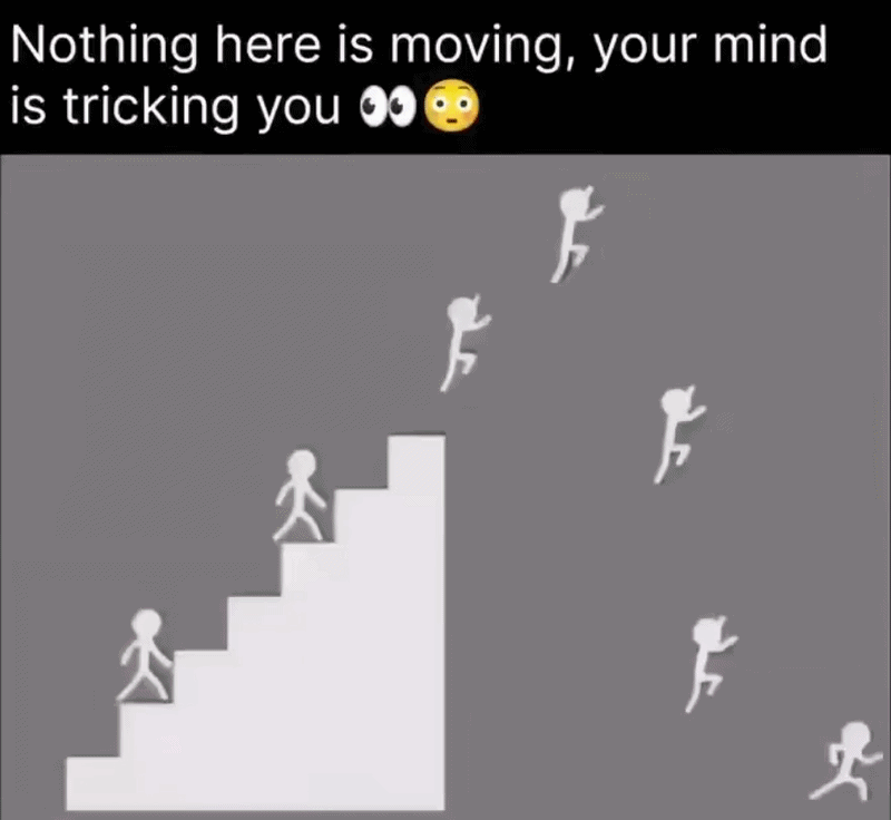 49b9b102772766f7ffad9a443507e64b5dfd4eb00db9f9753aeeed9d6aaf304f.gif