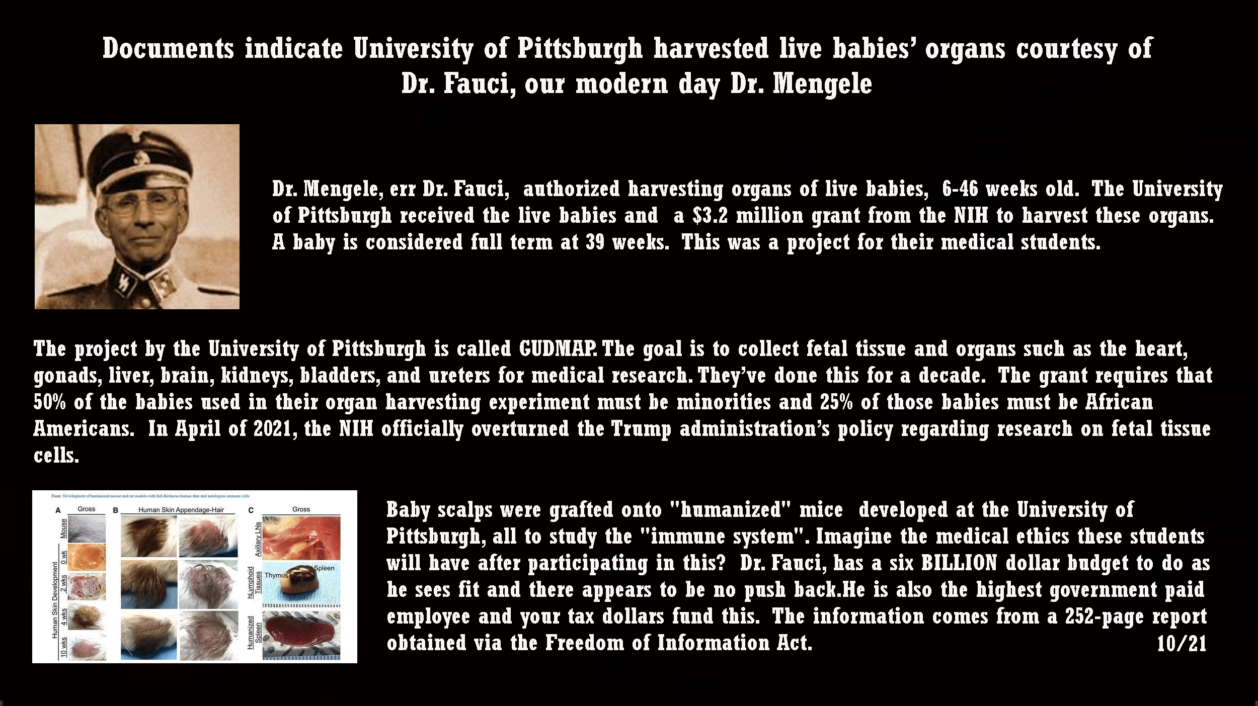 Dr Fauci Dangerous Megalomaniac The Last English Prince best-paying-jobs-2024-legra-natalee