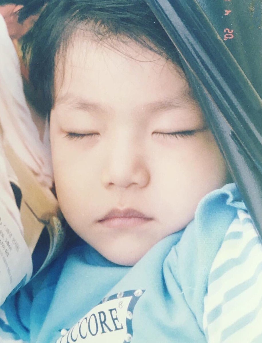 Pin Oleh Xitlali Di Park Woojin Lucu Binatang Lucu Wattpad