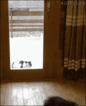 510589db27ae5a64e6f6ccd691e2c4dae8234380e2b4b3b39ea27e412b503167.gif