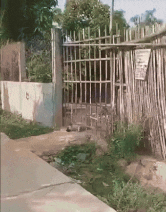 5b8a6f5358a1535315b5db792c0e068be0af302d80761fbc07362b443083bac5.gif