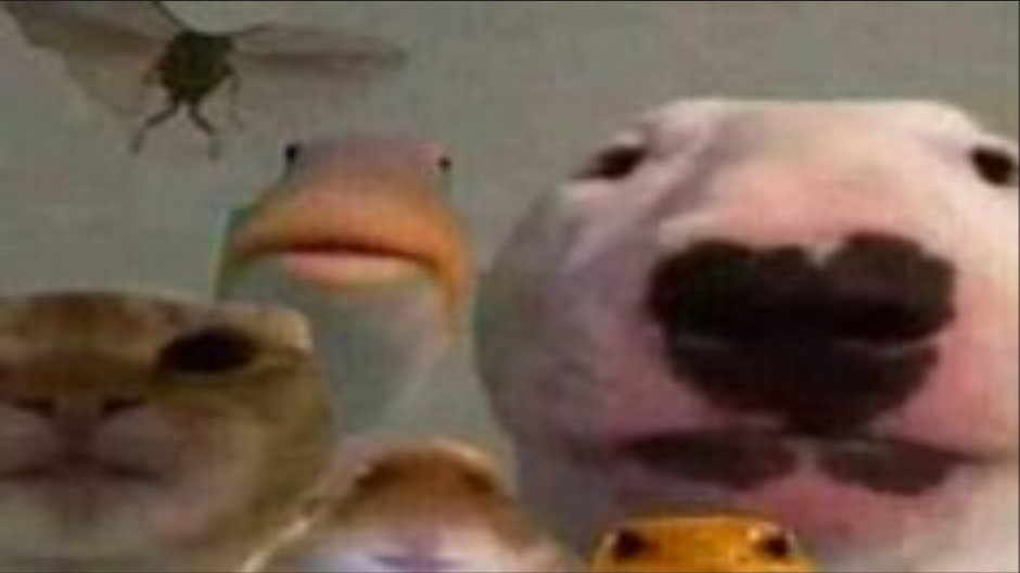 I'll Become The Tyrant's Tutor Scan Vf