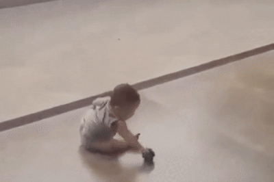 5df158902de25978c451a4c4f8c67344383f4c2058344d43cd3bcdc694c97acc.gif