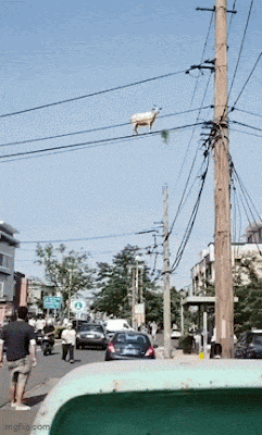 624c7ad7364569a85fb059b1c4f06d14332d69d4e40b2f1079169434468e7681.gif