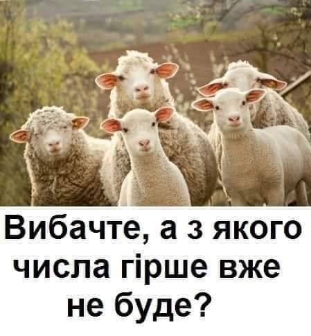 Курс НБУ на 18 березня: долар і євро продовжують зростати - Цензор.НЕТ 3064