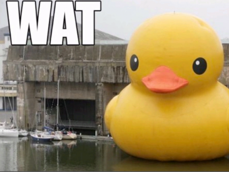 66e8142fa566c03228d98038301b8bc711fdeeab