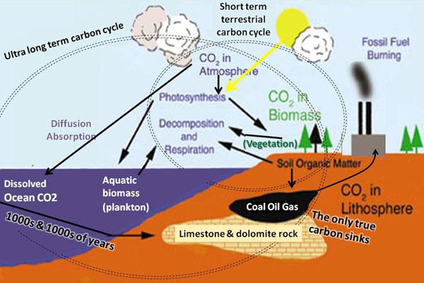 Carbon Markets See Positive Signal In New US Climate Guidance, But No ...